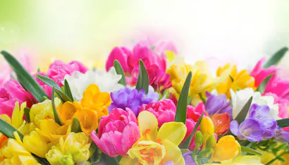 Merritt Island Florist